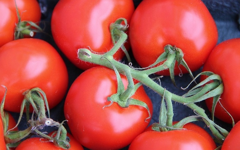 Tekstualna greška sa paradajzom pokrenula vanredne kontrole