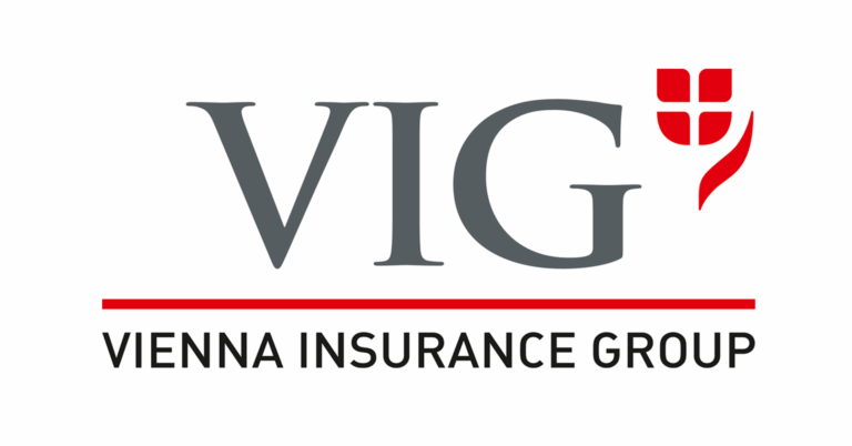 VIG logo