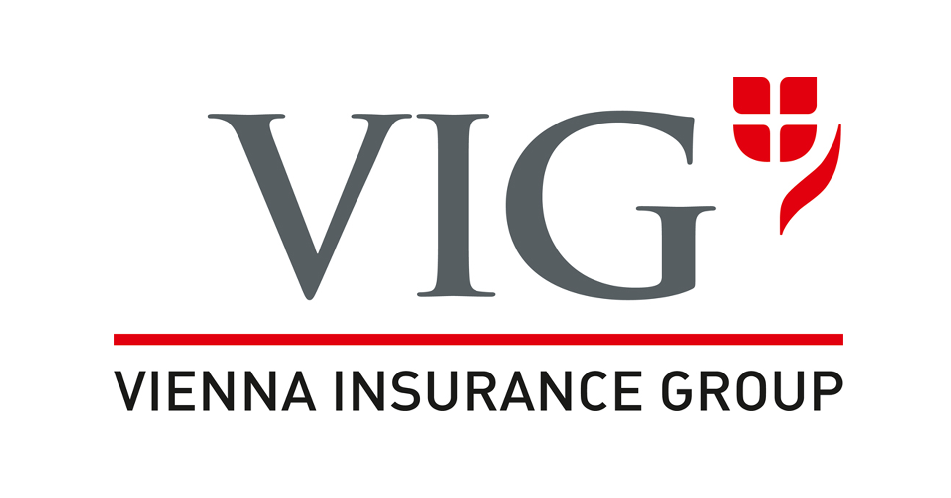 VIG logo